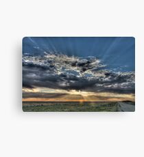 January Canvas Print
