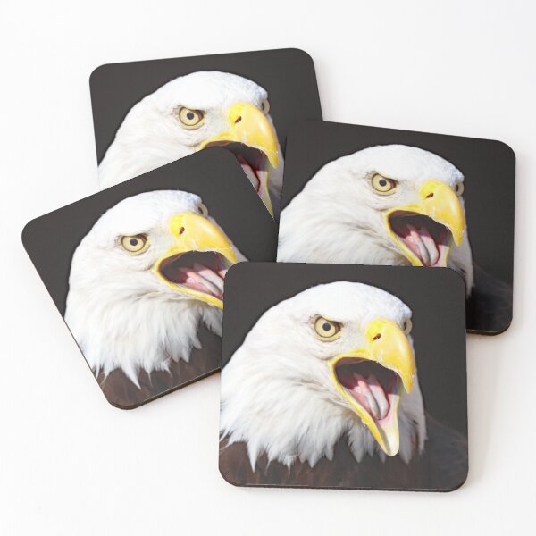 Item preview, A Fabulous Bald  Eagle designed and sold by Karen Thomson.