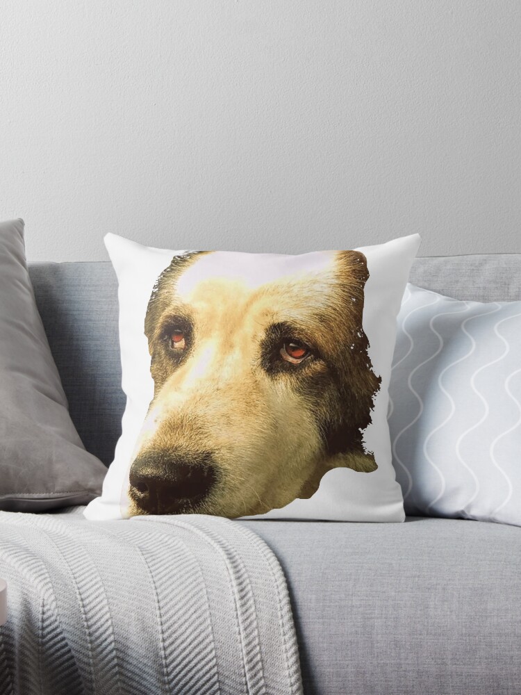 Almohada de perro triste new arrivals