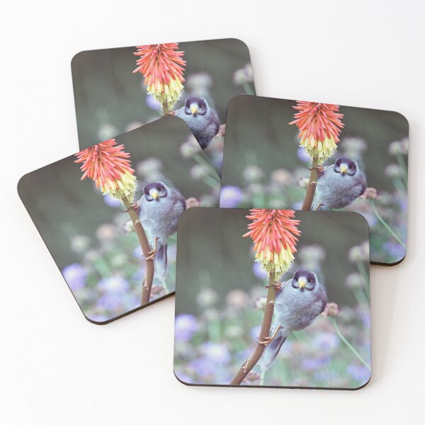 Item preview, Noisy Miner clings to a Red Hot Poker designed and sold by imaginethis.