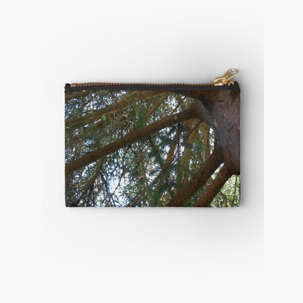 Item preview, Spanish Fir designed and sold by davidjc.