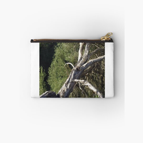 Item preview, TeaTree at Bool Lagoon designed and sold by davidjc.