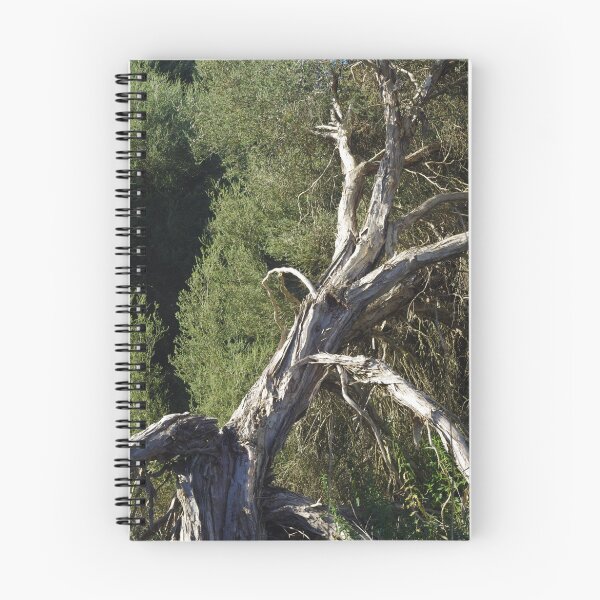 Item preview, TeaTree at Bool Lagoon designed and sold by davidjc.