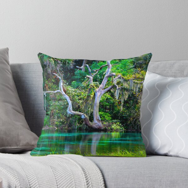 Item preview, Emerald Paradise, Rainbow Springs Florida designed and sold by NatureGreeting Cards ©ccwri.
