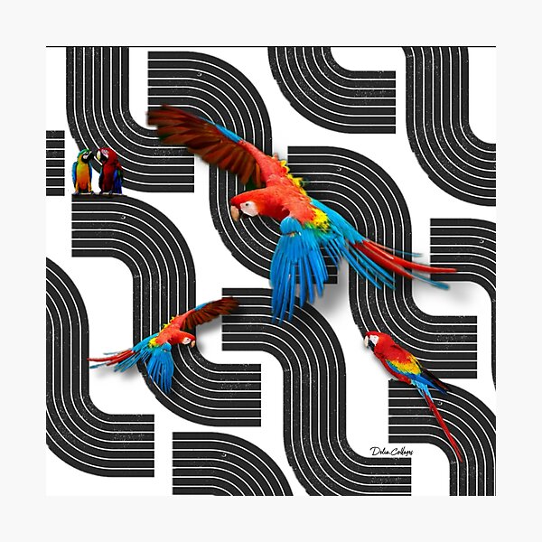 Item preview, Guacamayo urbano designed and sold by Delia Colmenares.