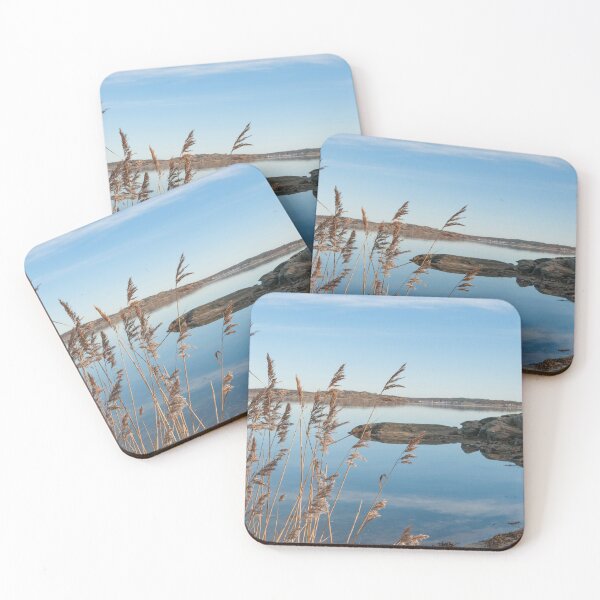 Item preview, Frozen reed by the sea designed and sold by EngineerGoC.