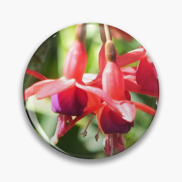 Pin Button