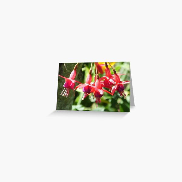 Greeting Card
