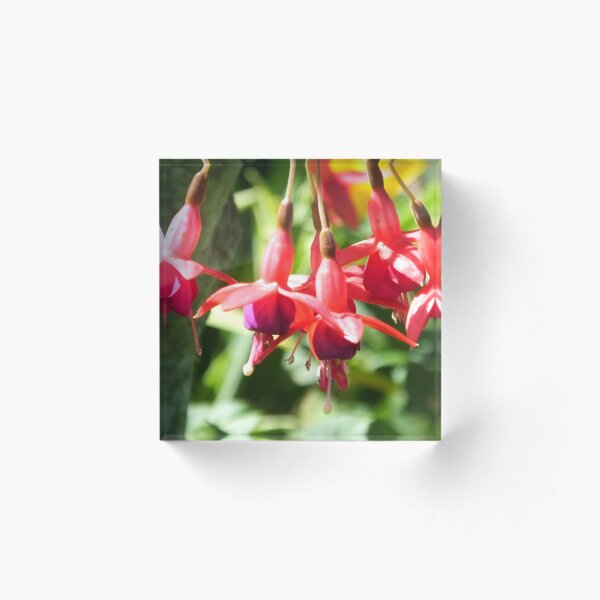 Acrylic Block