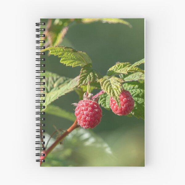 Item preview, Garden raspberry in summer designed and sold by EngineerGoC.