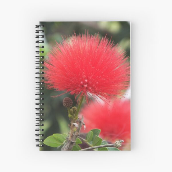 Spiral Notebook