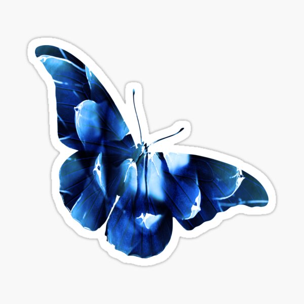 Blue Morpho Butterfly Sticker - Salty Kai