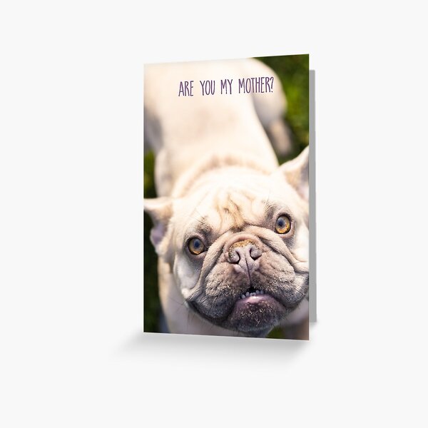 Are You My Mother Greeting Card Greeting Card
