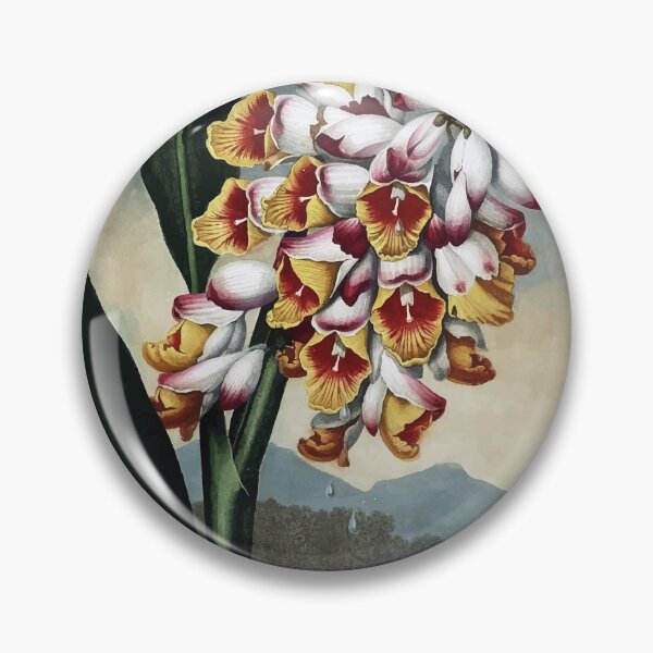 Item preview, Shell Ginger designed and sold by minimalcinema.