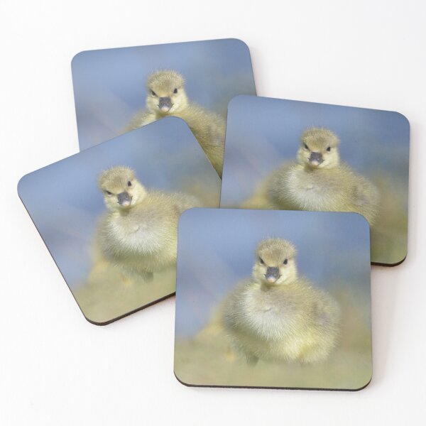 Item preview, Greylag Gosling in Sunshine designed and sold by ClaireChown.