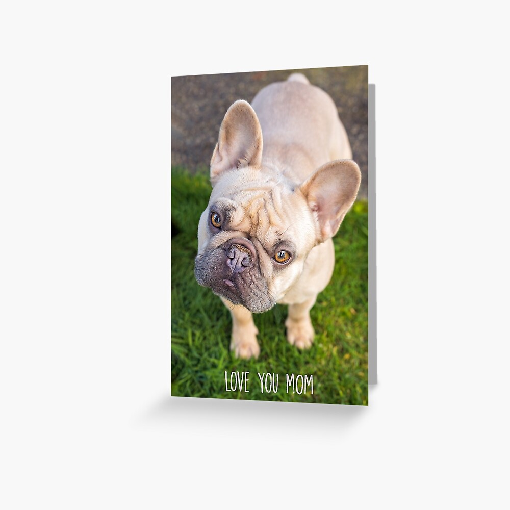 Love You Mom Greeting Card Greeting Card