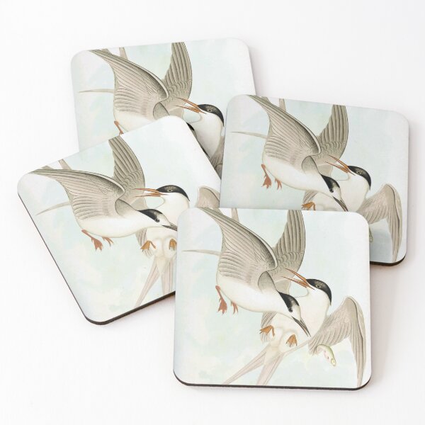 Item preview, White-Fronted Tern & Roseate Tern designed and sold by minimalcinema.