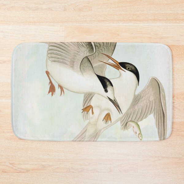 Item preview, White-Fronted Tern & Roseate Tern designed and sold by minimalcinema.