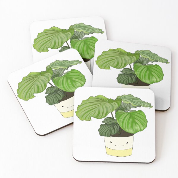 Item preview, Calathea Orbifolia Potted House Plant Collection designed and sold by laurasgallery.