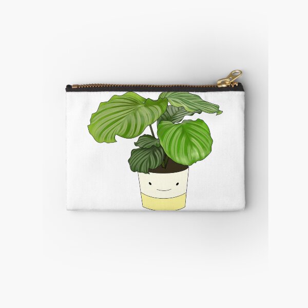 Item preview, Calathea Orbifolia Potted House Plant Collection designed and sold by laurasgallery.