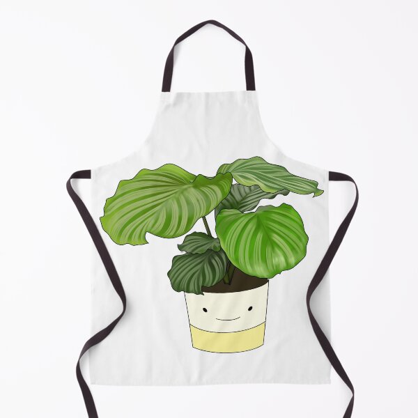 Item preview, Calathea Orbifolia Potted House Plant Collection designed and sold by laurasgallery.