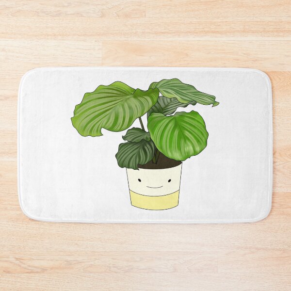 Item preview, Calathea Orbifolia Potted House Plant Collection designed and sold by laurasgallery.