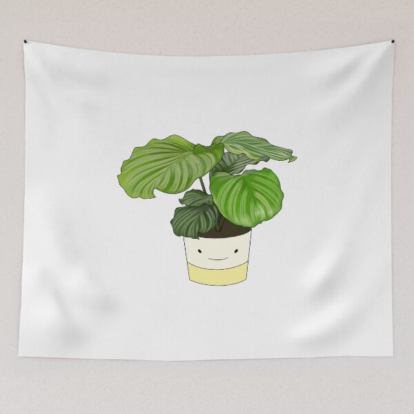 Item preview, Calathea Orbifolia Potted House Plant Collection designed and sold by laurasgallery.