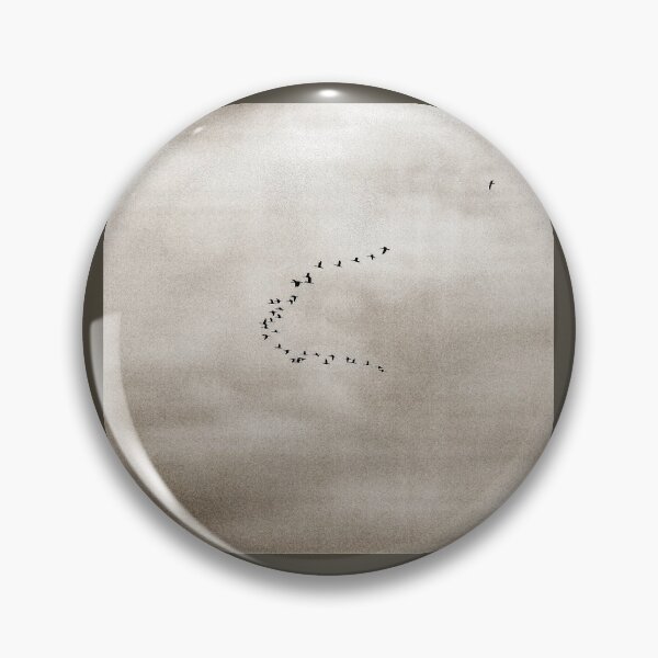 Item preview, 2012 Il volo dell'anatra e il gabbiano designed and sold by robertoferrero.