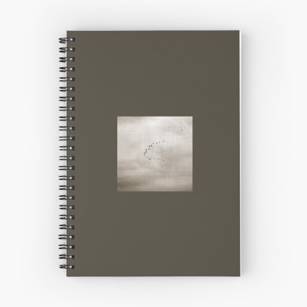 Item preview, 2012 Il volo dell'anatra e il gabbiano designed and sold by robertoferrero.