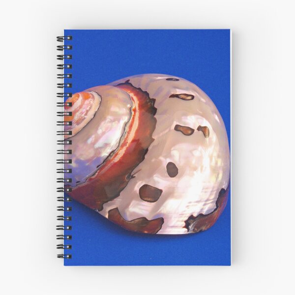 Item preview, Sea Shell on Blue designed and sold by Robert Gipson.