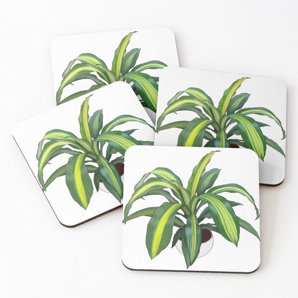 Item preview, Dracaena Potted House Plant Collection designed and sold by laurasgallery.