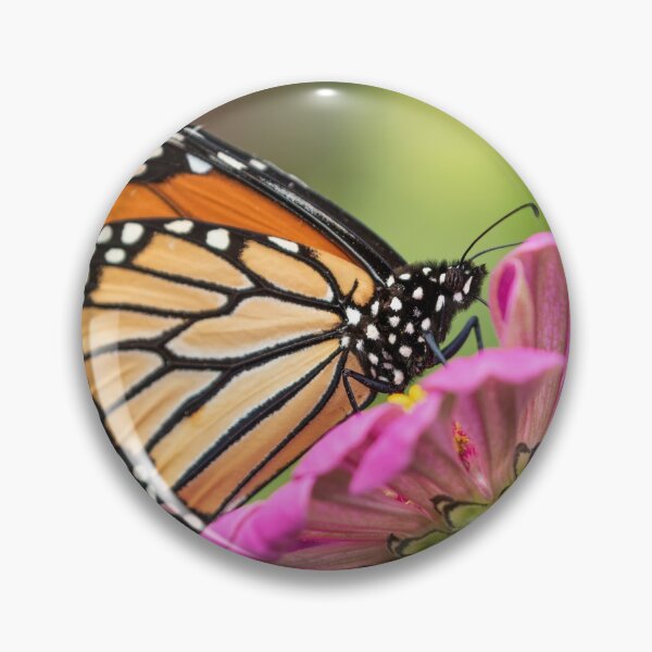 Item preview, Monarch On Zinnia 2016 designed and sold by Thomasyoung.