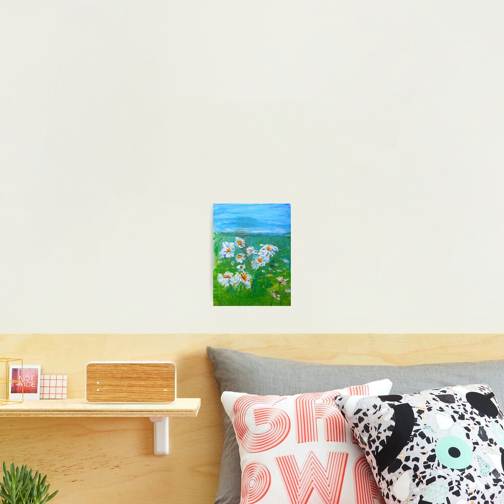 Meadow Daisies Photographic Print