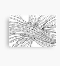 Fibre Canvas Print