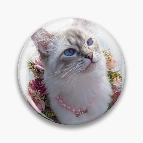 Item preview, Saoirse the lynx ragdoll goddess designed and sold by Fluffycat2020.