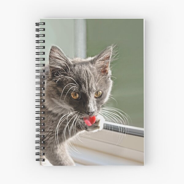 Item preview, Bigotes de gato designed and sold by SUEperPIX.
