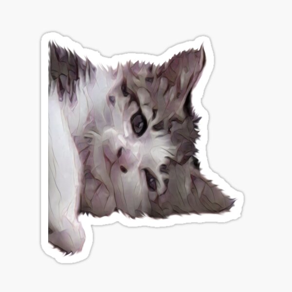 Kitten Sticker