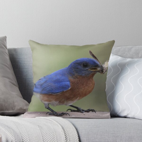 Item preview, 06 Eastern Bluebird designed and sold by Sheryl Hopkins.