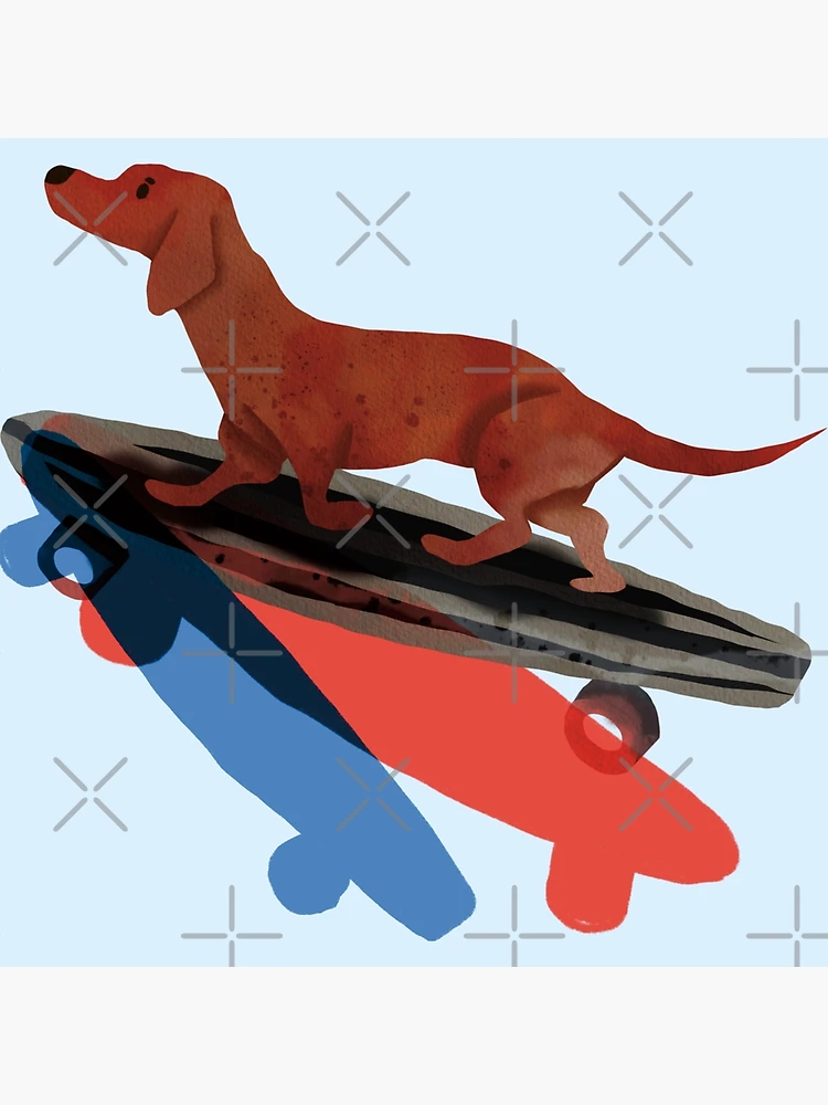 Stupell Industries Dachshund Pet Dog on Blue Skateboard Throw