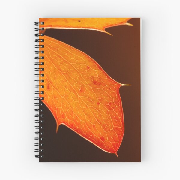 Item preview, Single leaf designed and sold by woolcos.