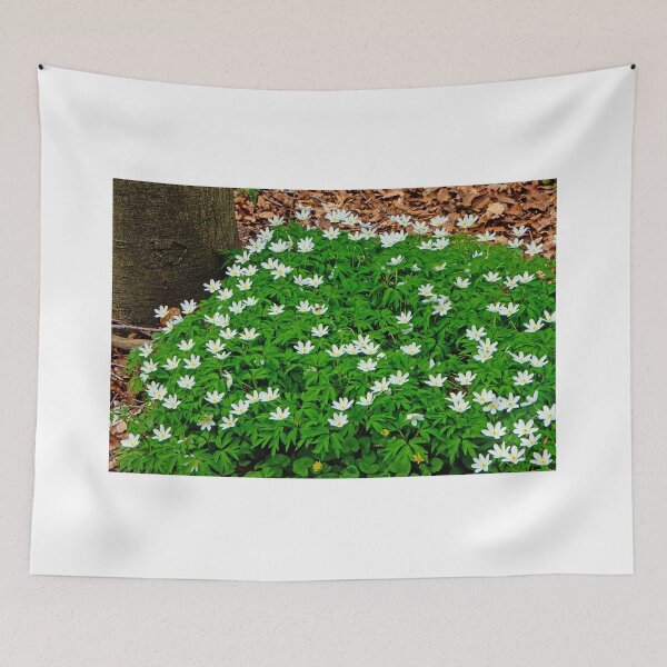 Item preview, There was another visitor designed and sold by jchanders.