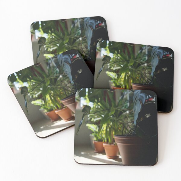Item preview, home jungle designed and sold by FuzzyLogicKate.