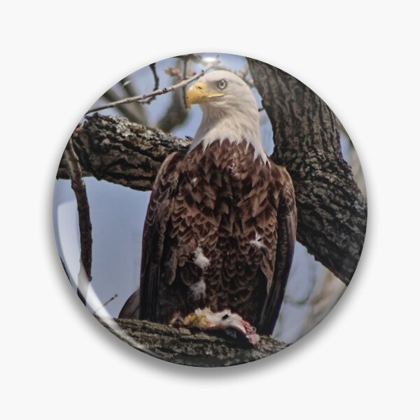 Item preview, The Eagles at Conowingo Dam designed and sold by Lanis Rossi.