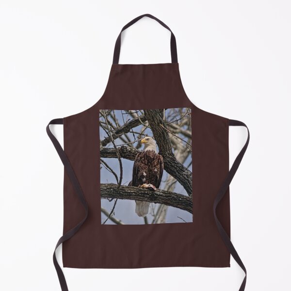 Item preview, The Eagles at Conowingo Dam designed and sold by Lanis Rossi.