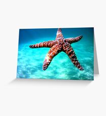 Starfish Greeting Card
