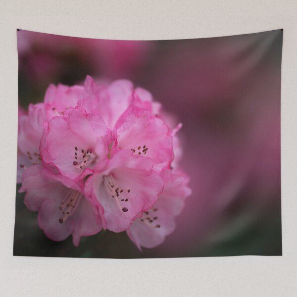 Item preview, Pink rhododendron designed and sold by iktwo.