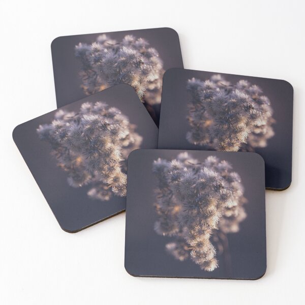 Item preview, Freeze-dried designed and sold by Monika Hylmarová.