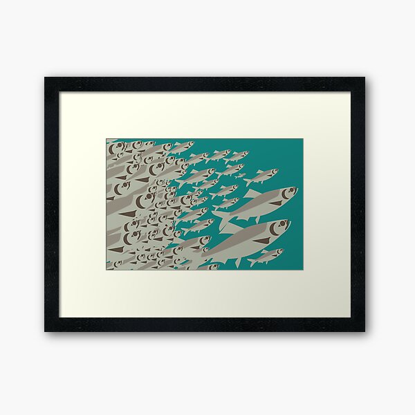 Coast Salish Herring Framed Art Print