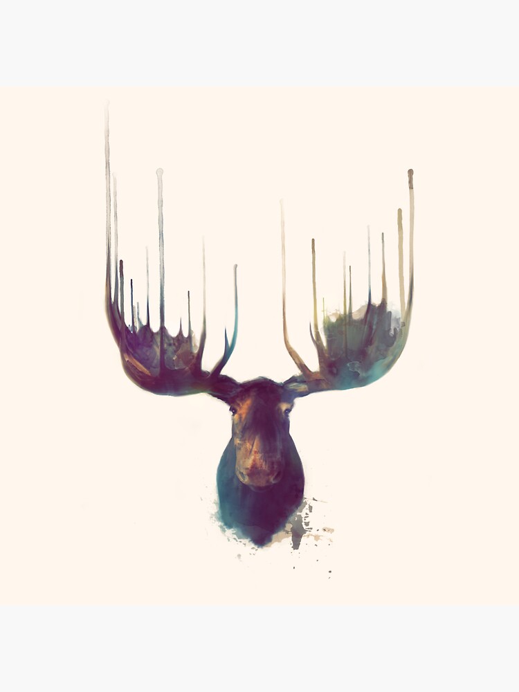 Moose - Square format by AmyHamilton