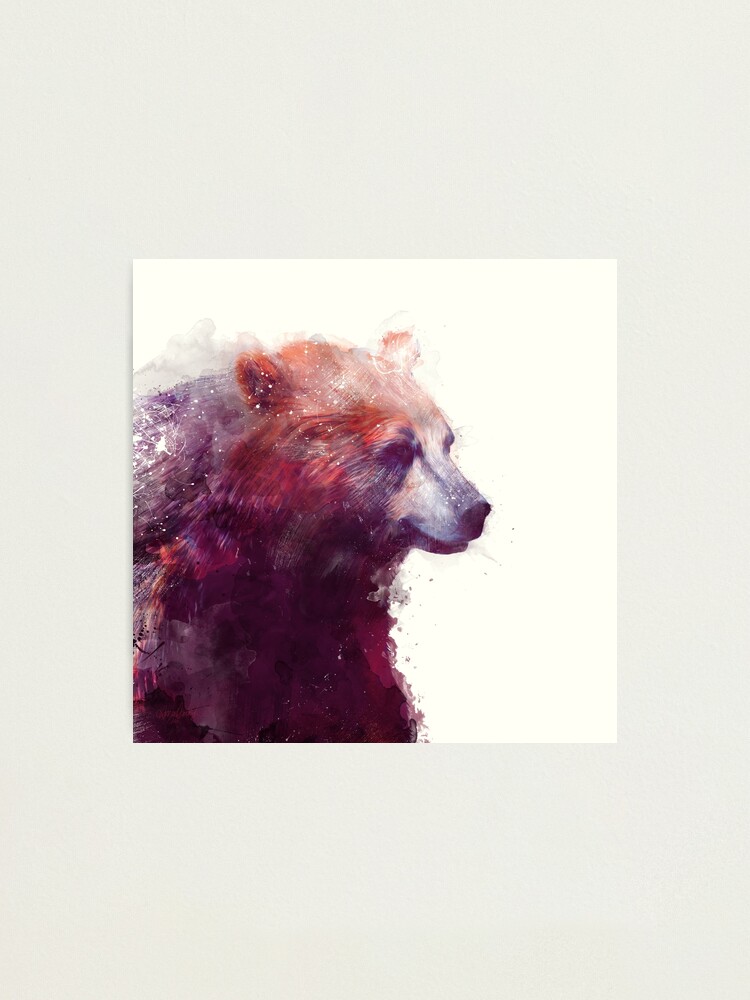Alternate view of Bear // Calm - Square Format Photographic Print